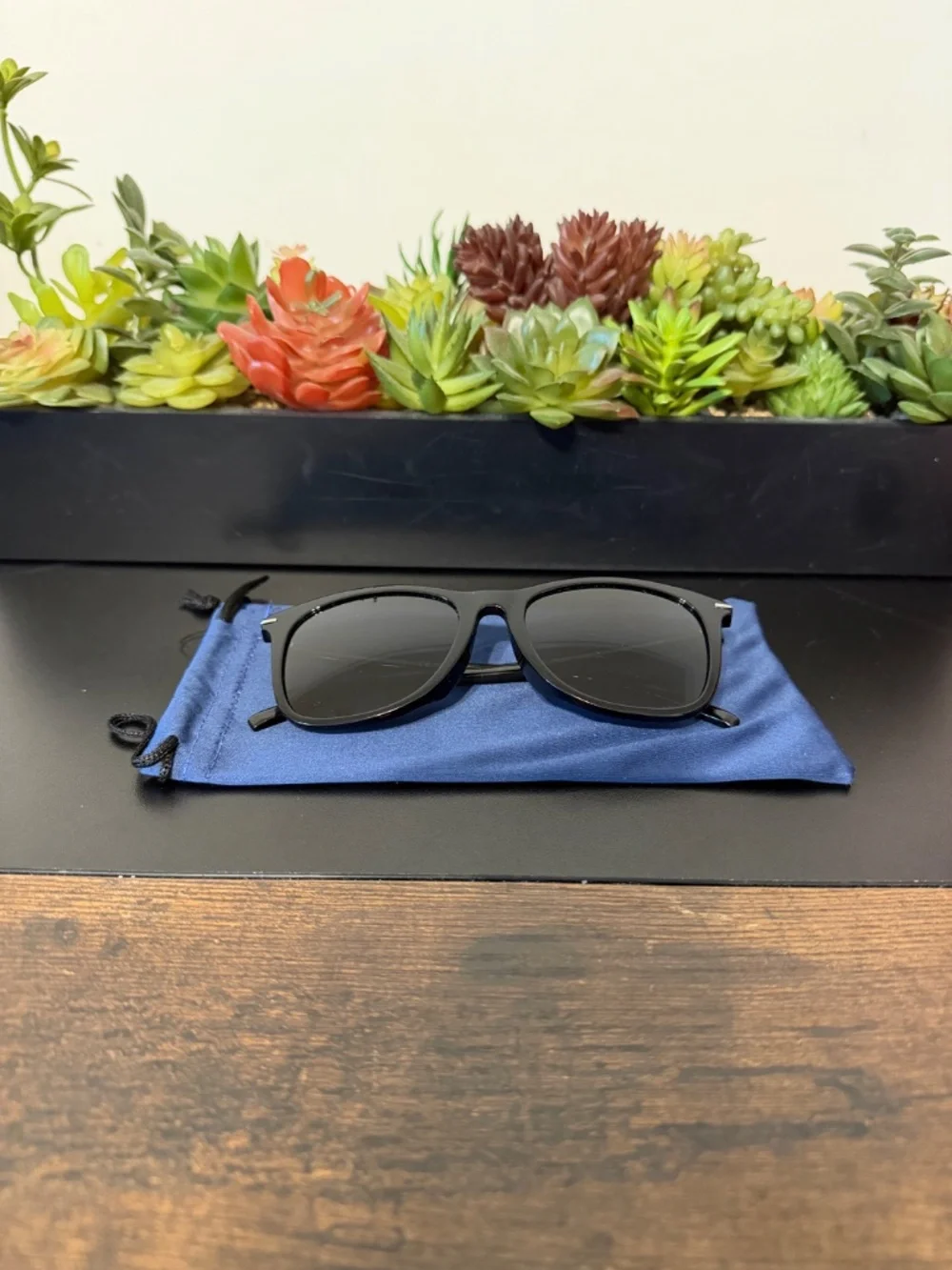 Christian Dior Homme Black Tie Sunglasses